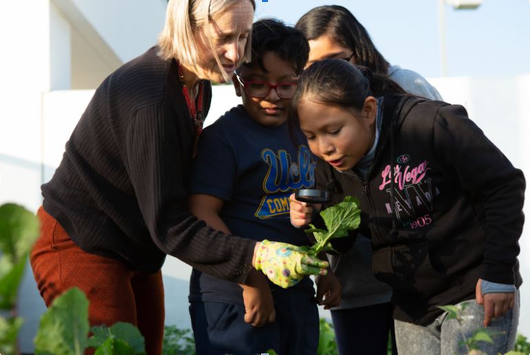 Teacher and students looking at plant